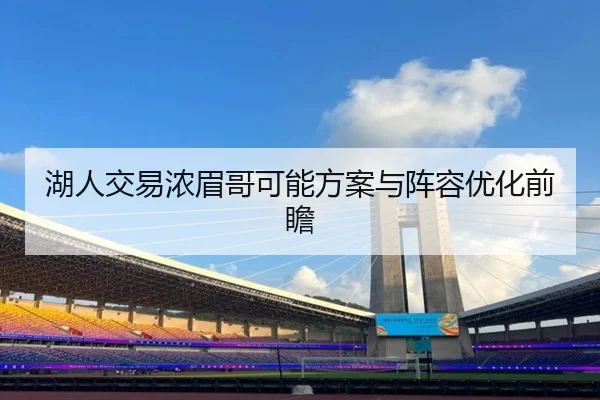 湖人交易浓眉哥可能方案与阵容优化前瞻